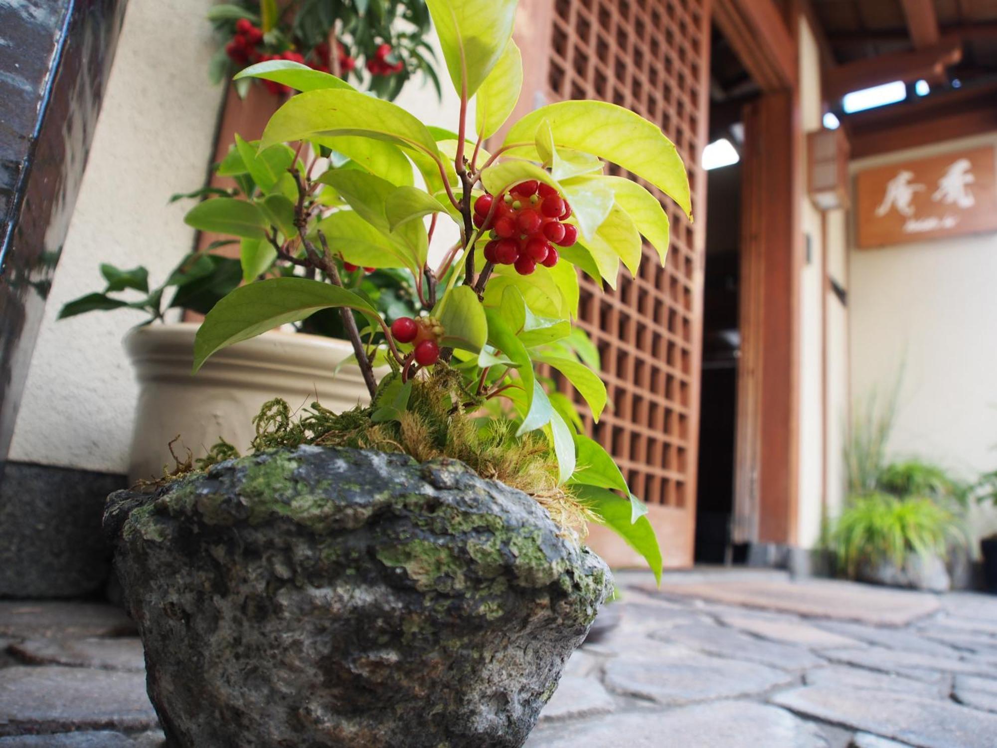 Kamuroan Kyoto Bagian luar foto